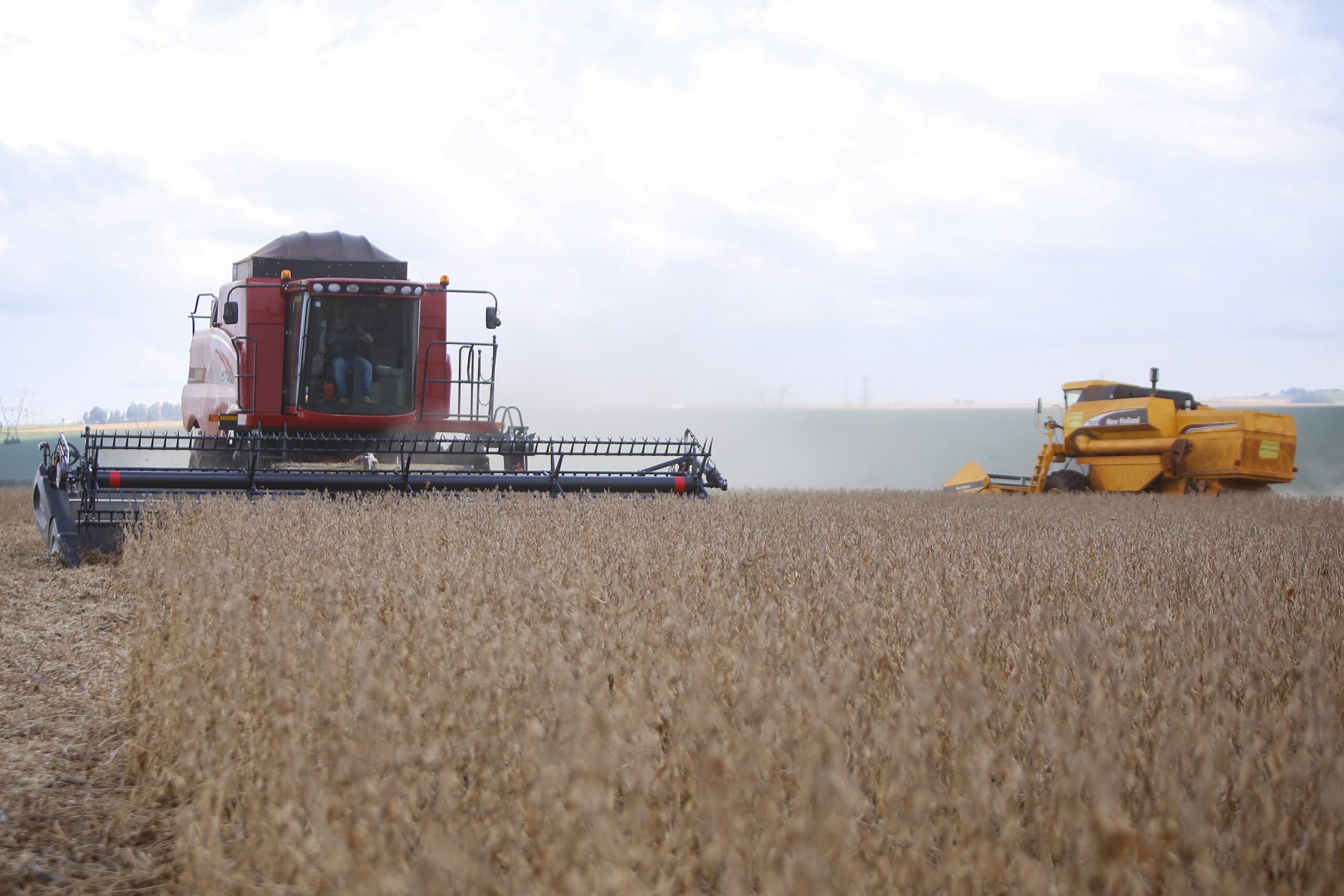 Plano Safra nacional terá R$ 516,2 bilhões; agricultura familiar fica com R$ 89 bilhões