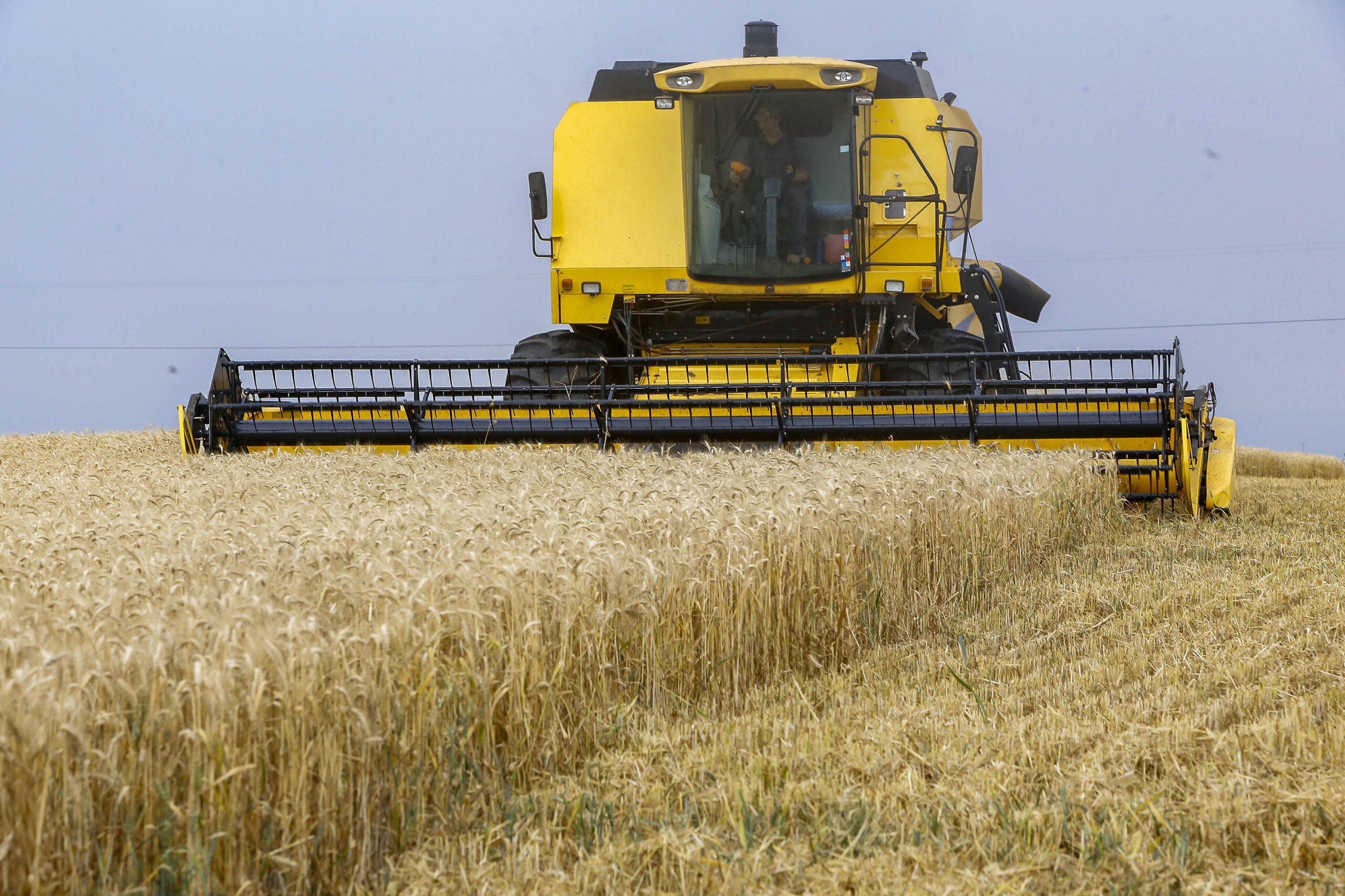 Plano Safra nacional terá R$ 516,2 bilhões; agricultura familiar fica com R$ 89 bilhões