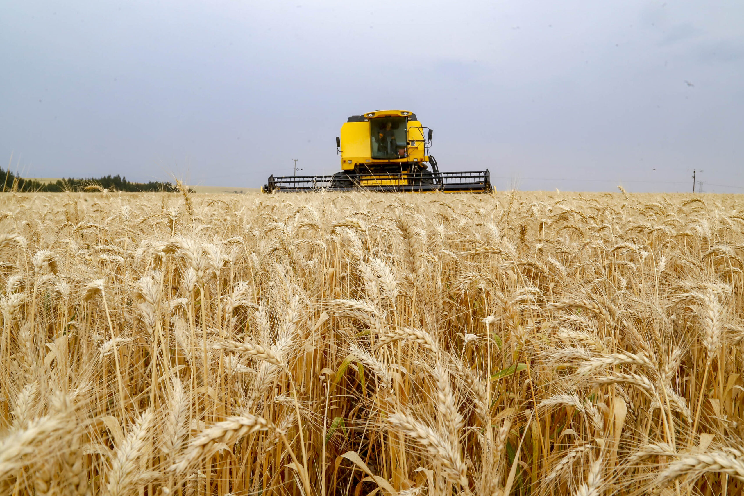 Plano Safra nacional terá R$ 516,2 bilhões; agricultura familiar fica com R$ 89 bilhões