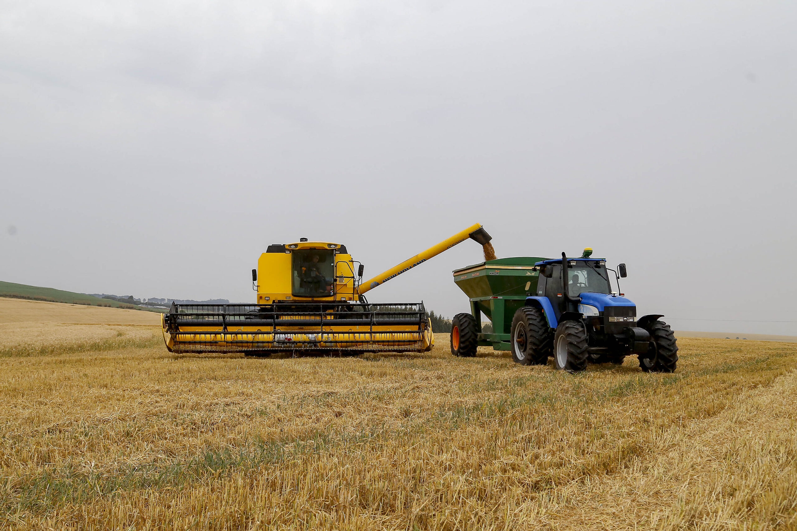 Plano Safra nacional terá R$ 516,2 bilhões; agricultura familiar fica com R$ 89 bilhões