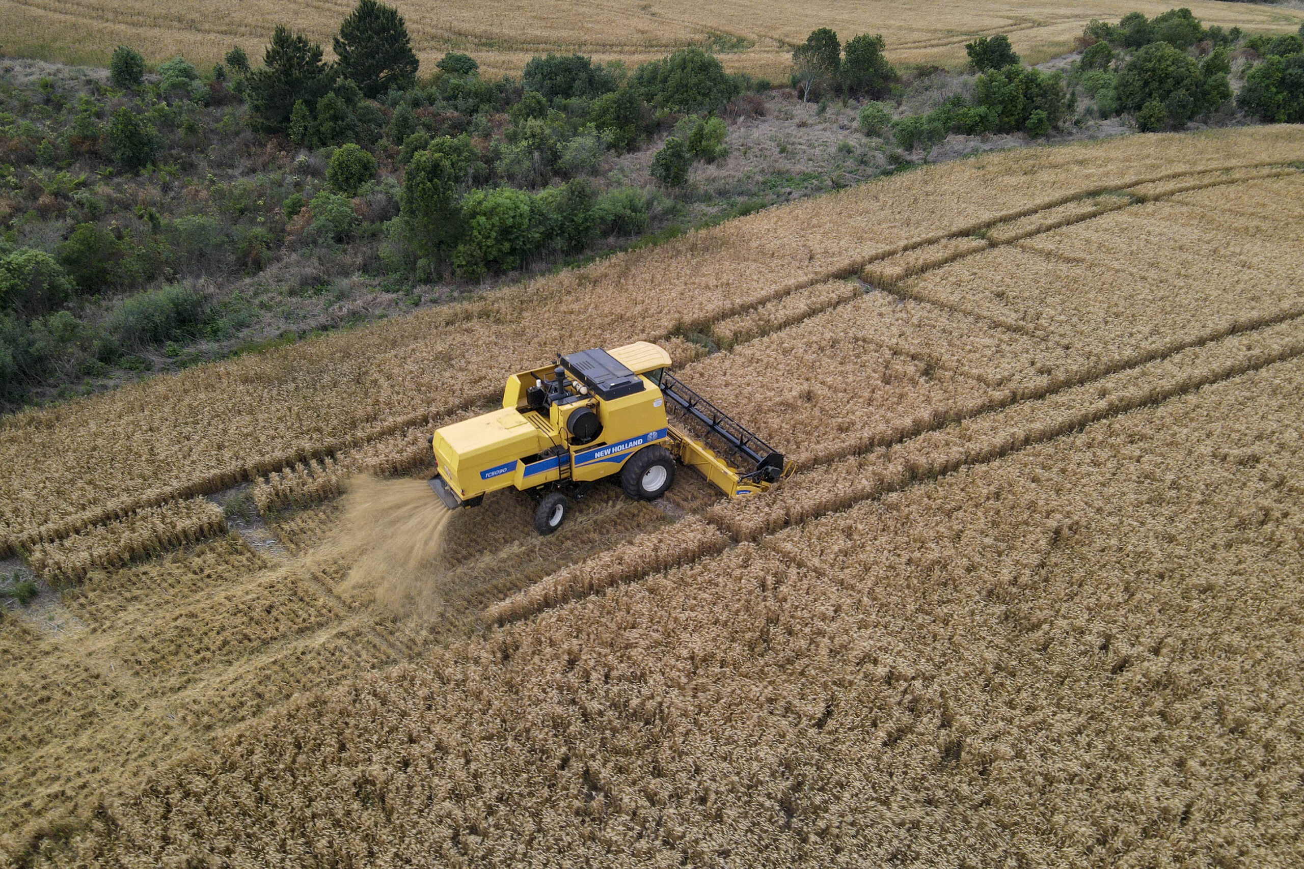 Plano Safra nacional terá R$ 516,2 bilhões; agricultura familiar fica com R$ 89 bilhões