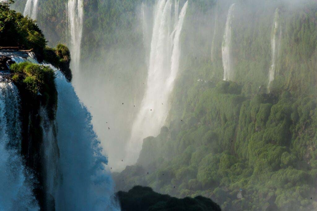 Alta de 23,7%: Paraná recebe mais de 627,8 mil turistas estrangeiros no 1º semestre