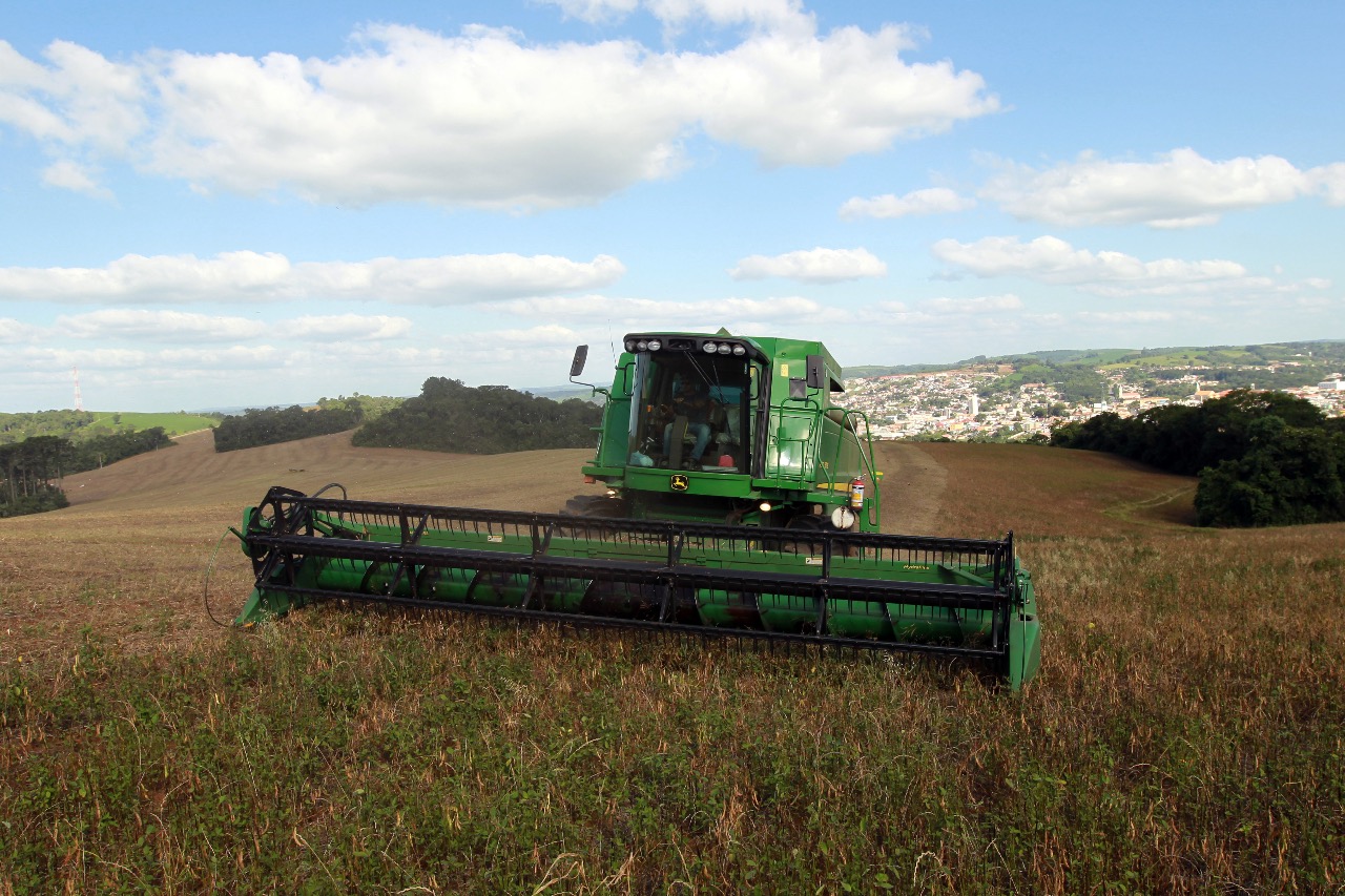 Paraná confirma novo recorde e liderança nacional na produção de feijão: 865 mil toneladas