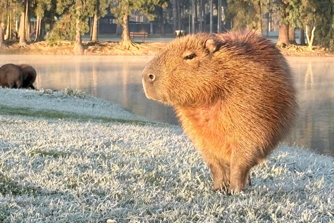 Curitiba registrou nesta quarta-feira a 2ª temperatura máxima mais baixa desde 1997