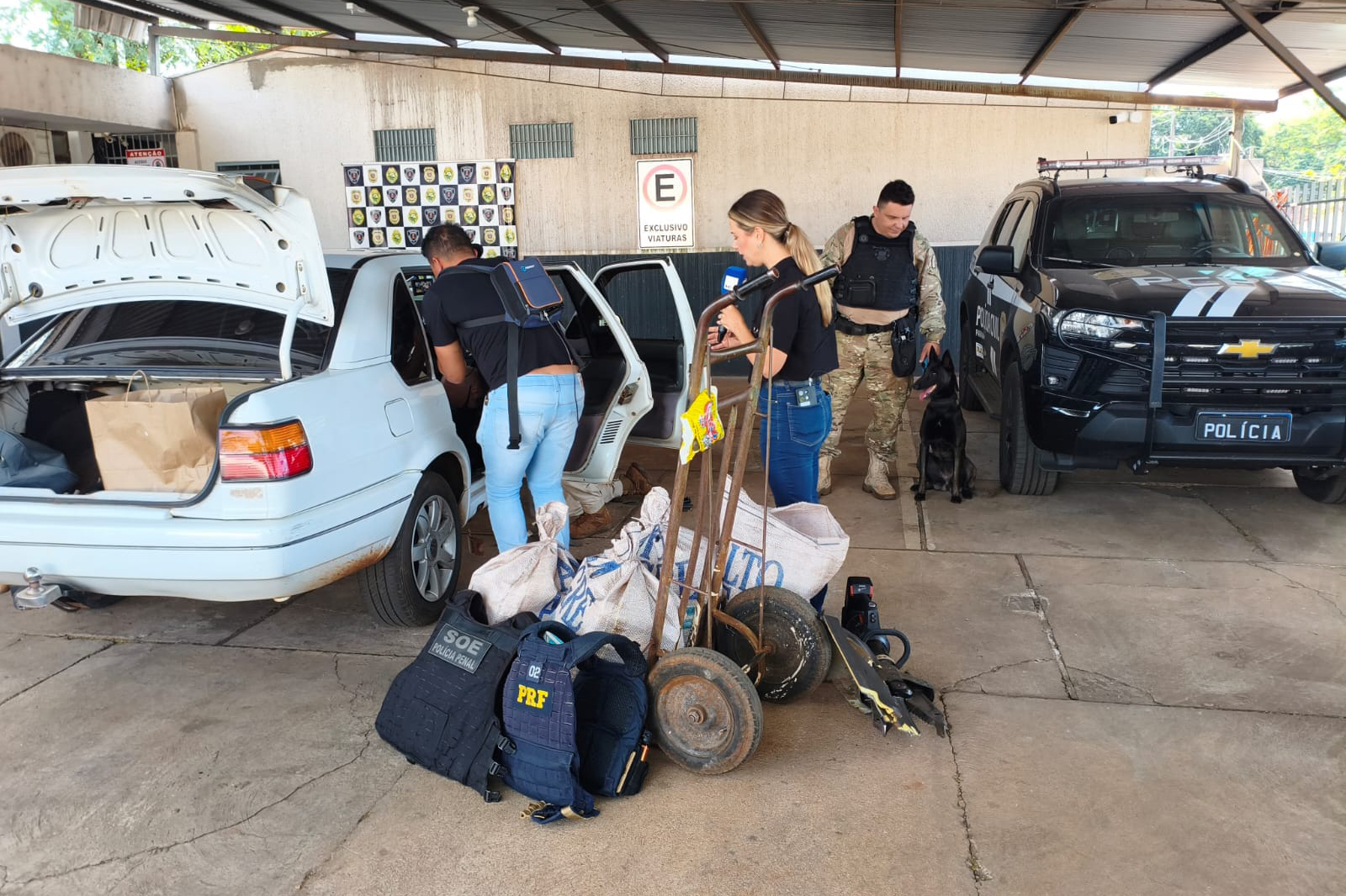 Cadela da Polícia Penal encontra 81 kg de maconha em ação conjunta com a PRF