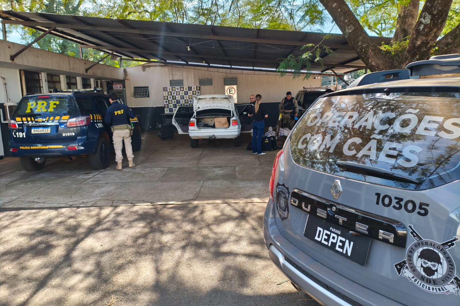Cadela da Polícia Penal encontra 81 kg de maconha em ação conjunta com a PRF