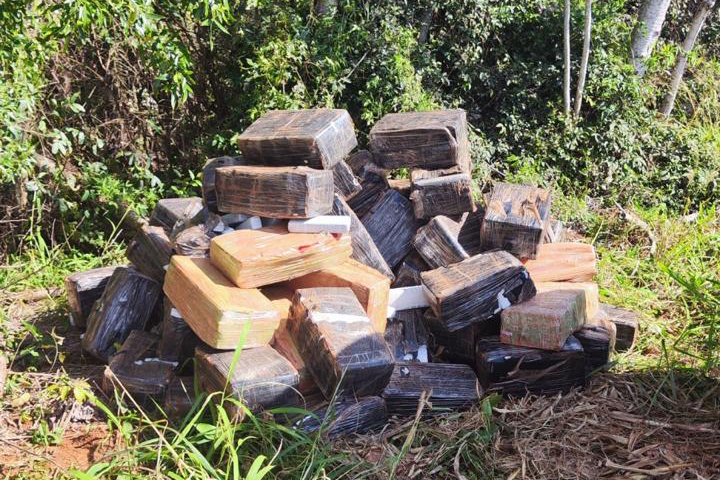Operação da PMPR, PCPR e PF apreende carga de maconha avaliada em R$ 5,1 milhões