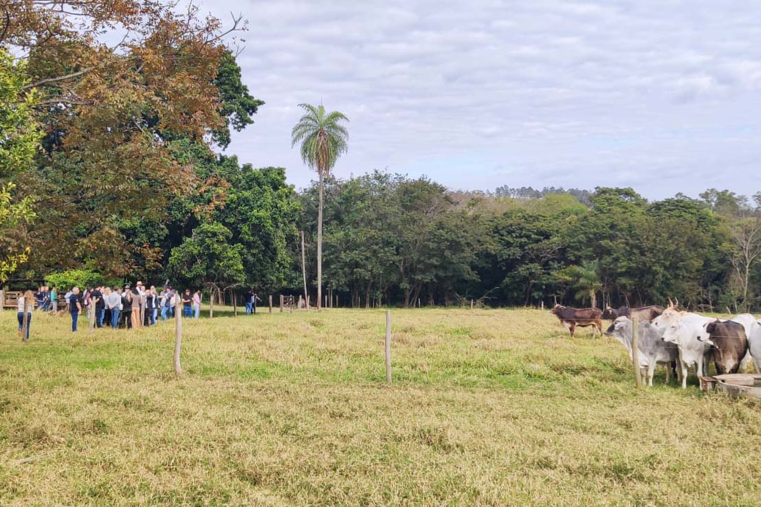 Estado e Banco Mundial alinham próximas ações do Programa de Segurança Hídrica