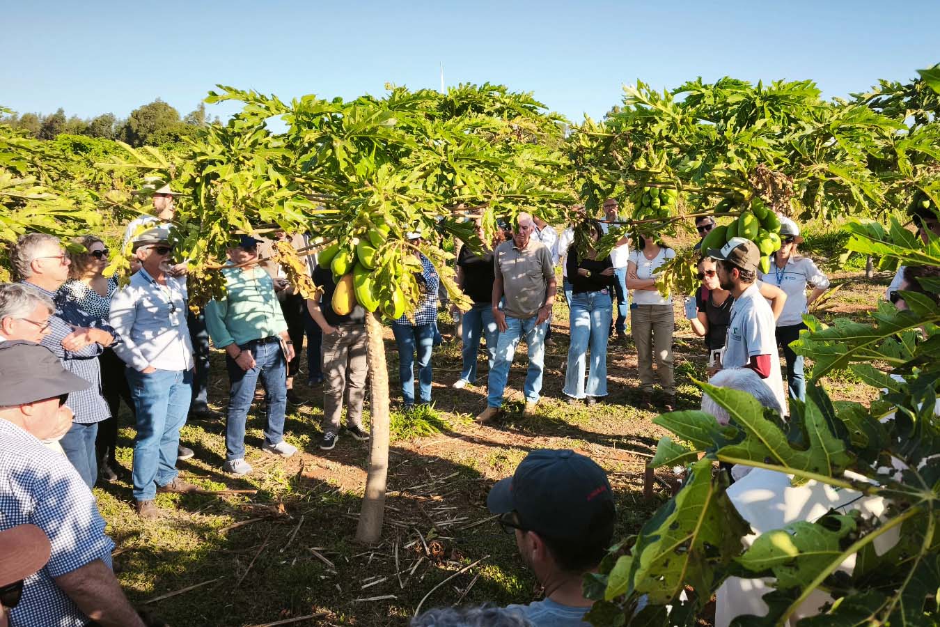 Estado e Banco Mundial alinham próximas ações do Programa de Segurança Hídrica