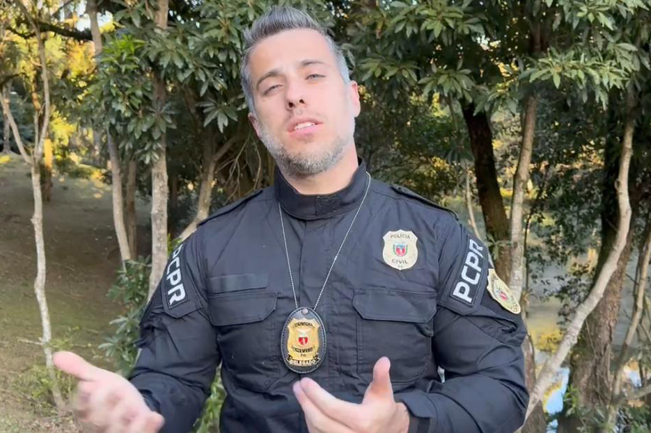 PCPR resgata cachorro da raça Yorkshire vítima de maus-tratos em Curitiba