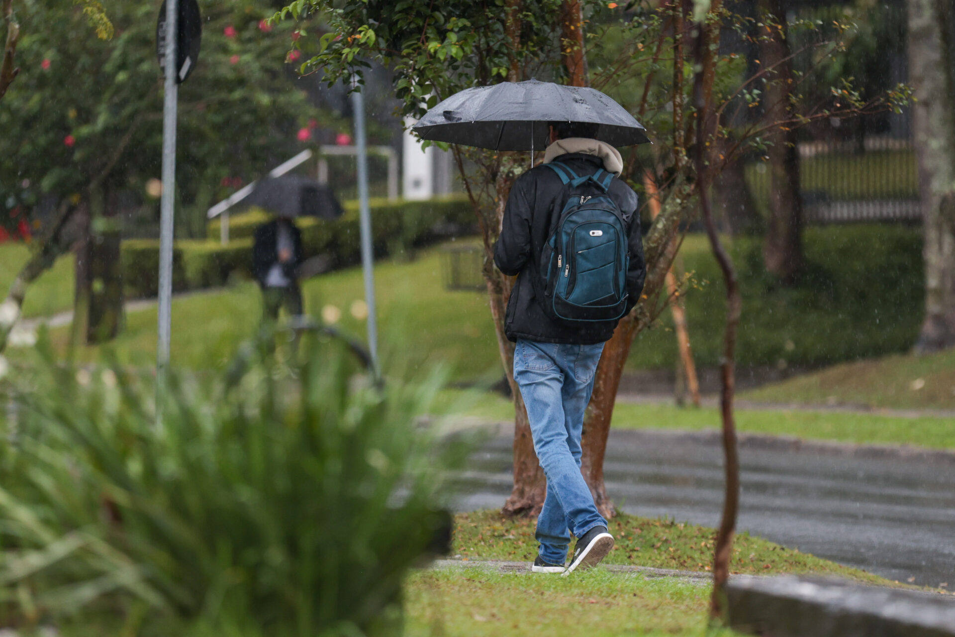 Final de semana em parte do Paraná será de chuva e ventos fortes, prevê Simepar