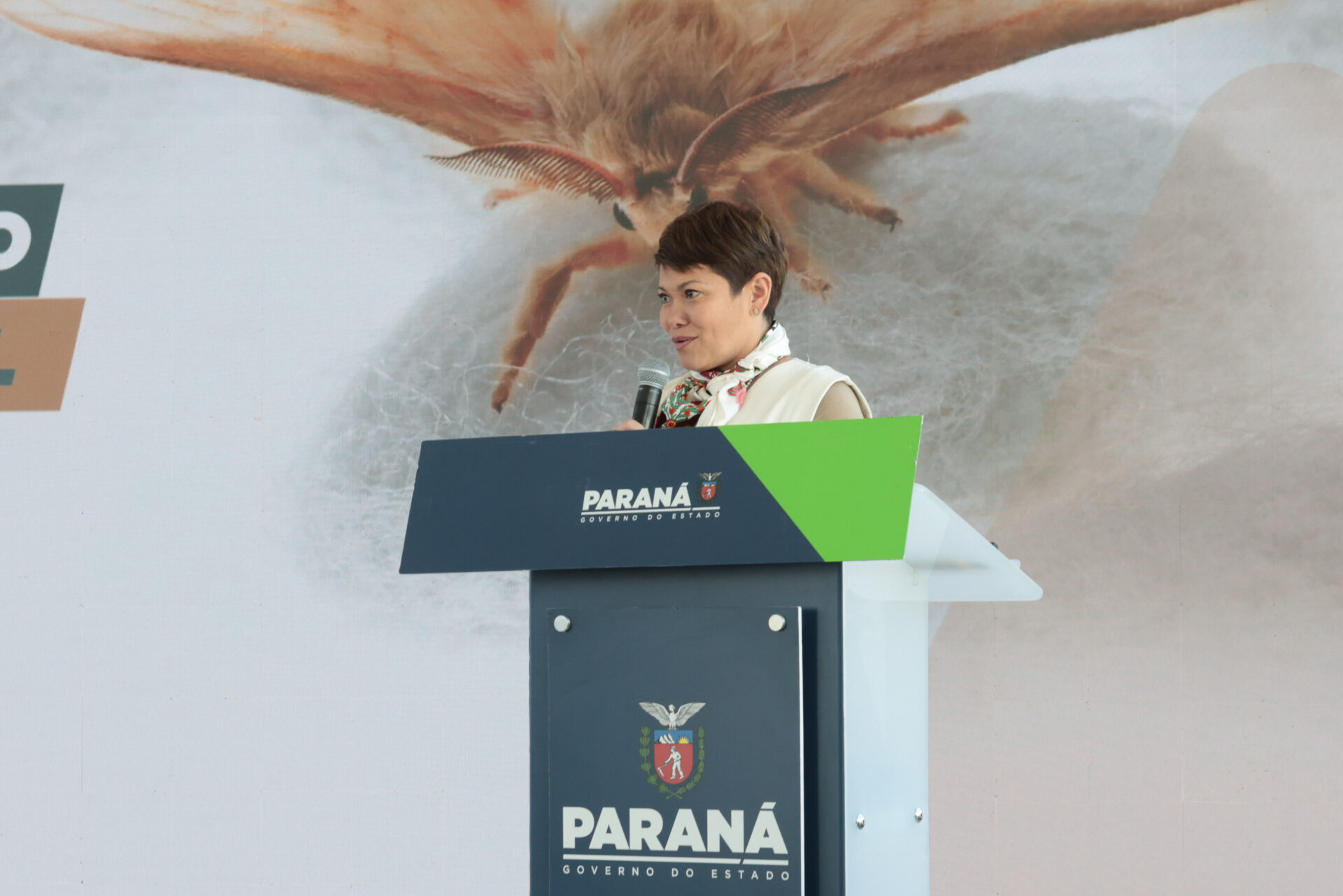 Produtoras de seda do Paraná são premiadas com viagem para a França