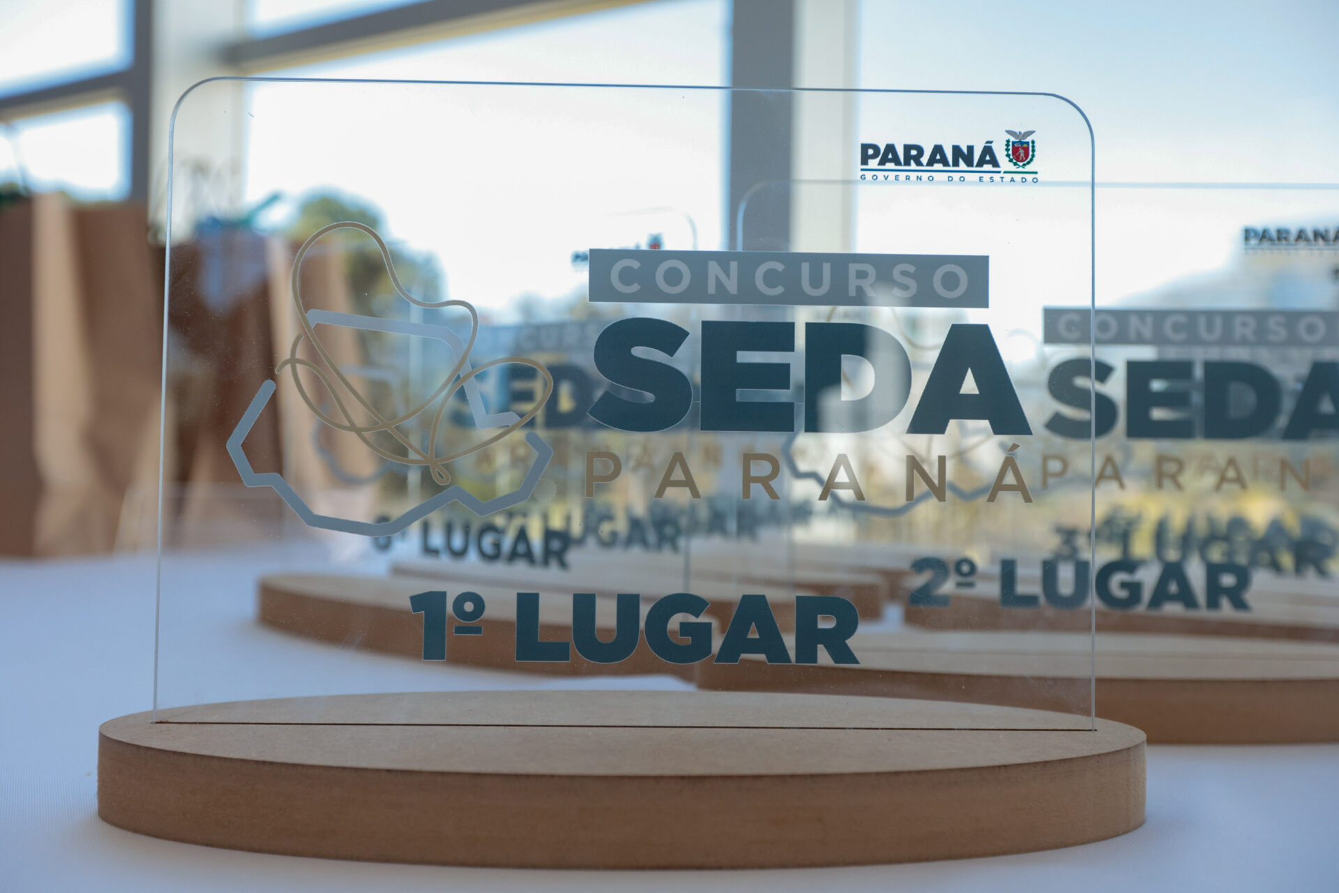 Produtoras de seda do Paraná são premiadas com viagem para a França