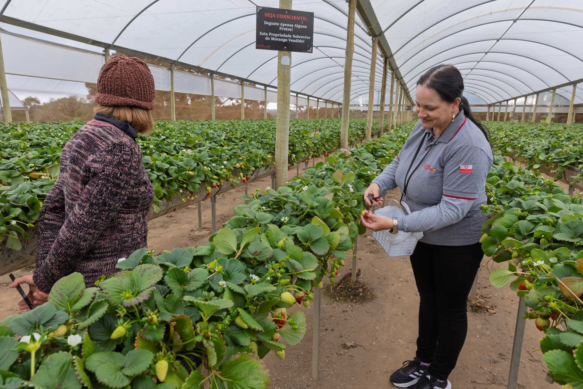 Agricultores da Bacia do Miringuava apoiados pela Sanepar estreiam na Feira Sabores do Paraná