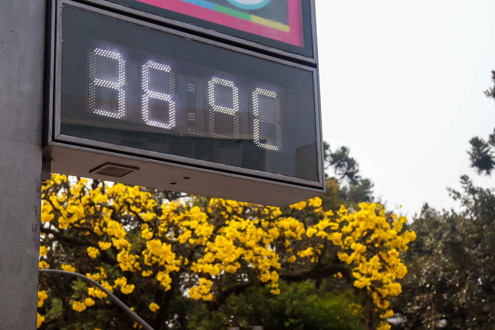 Inscrições para o Selo Clima Paraná 2025 terminam nesta terça-feira