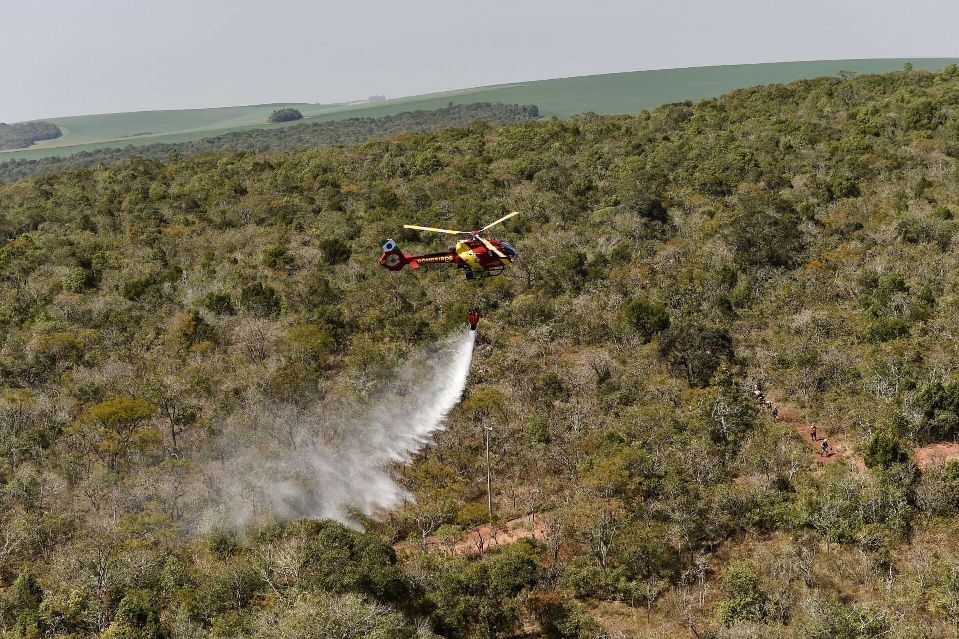 IAT promove restauração ambiental do Parque do Cerrado por meio da queima controlada