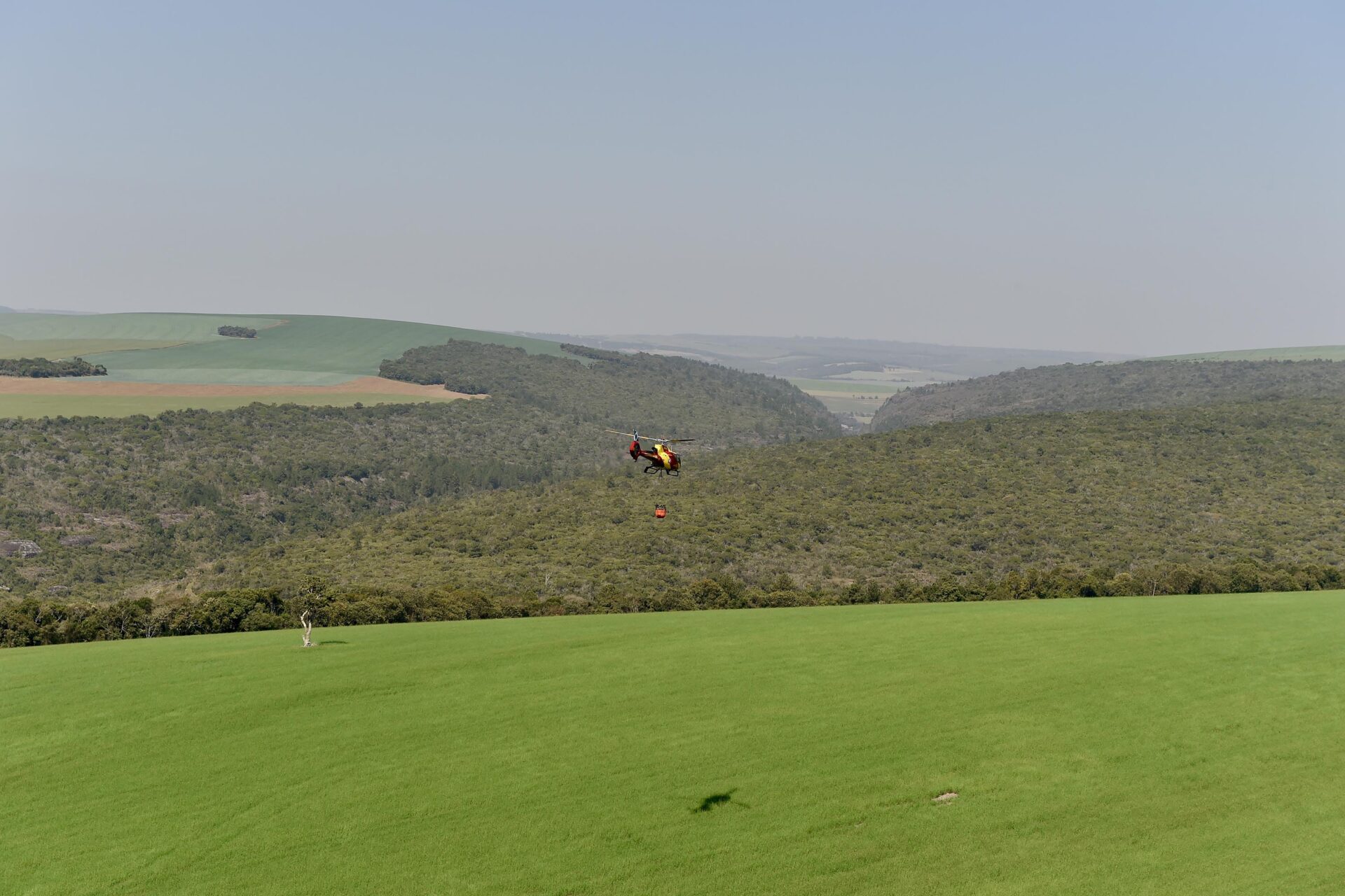 IAT promove restauração ambiental do Parque do Cerrado por meio da queima controlada