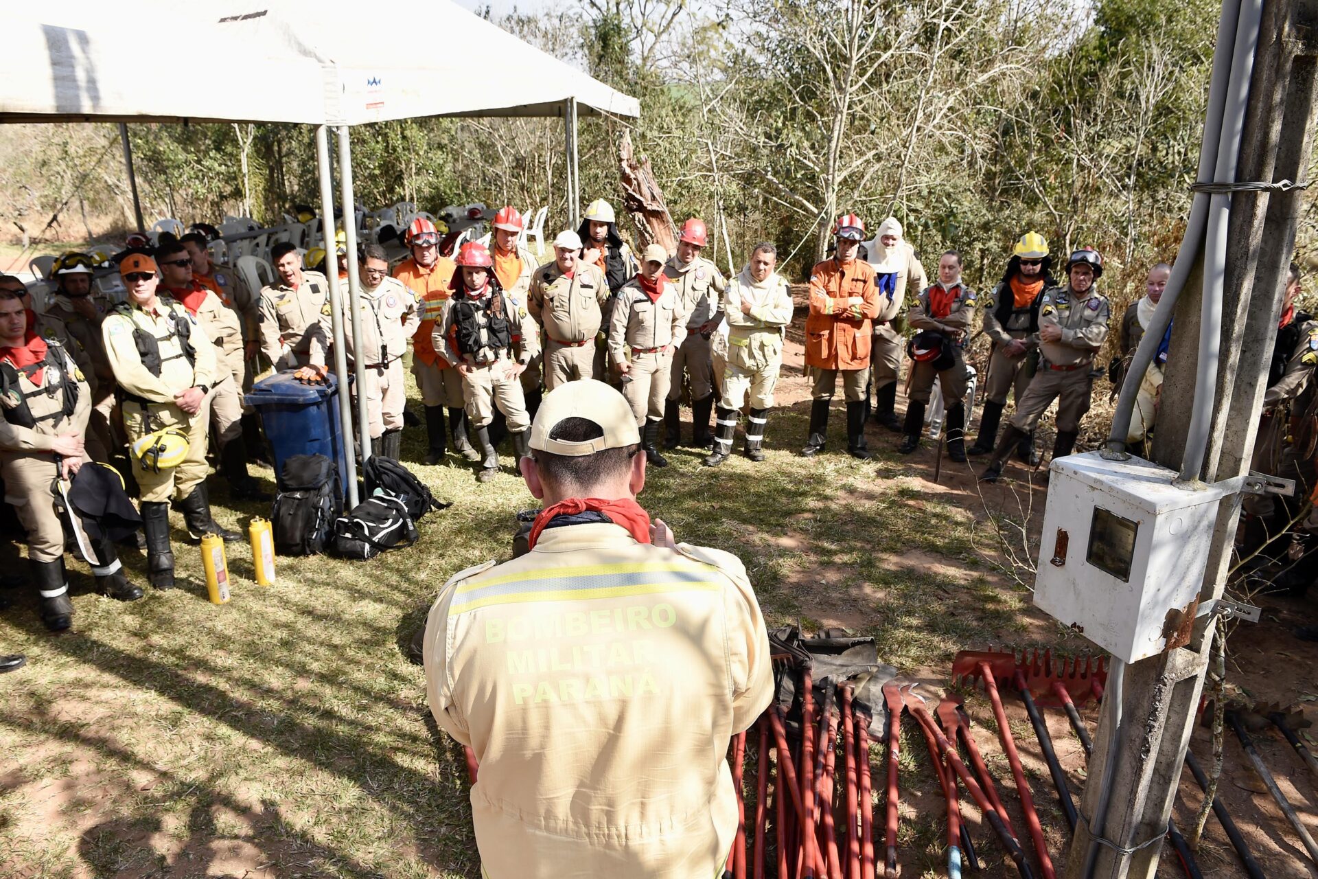 IAT promove restauração ambiental do Parque do Cerrado por meio da queima controlada