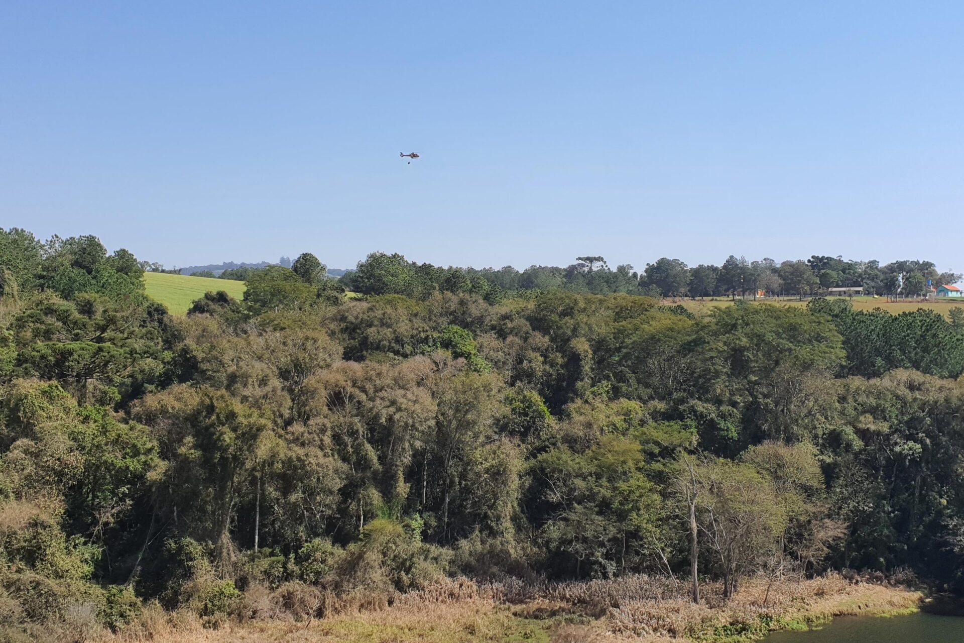 IAT promove restauração ambiental do Parque do Cerrado por meio da queima controlada