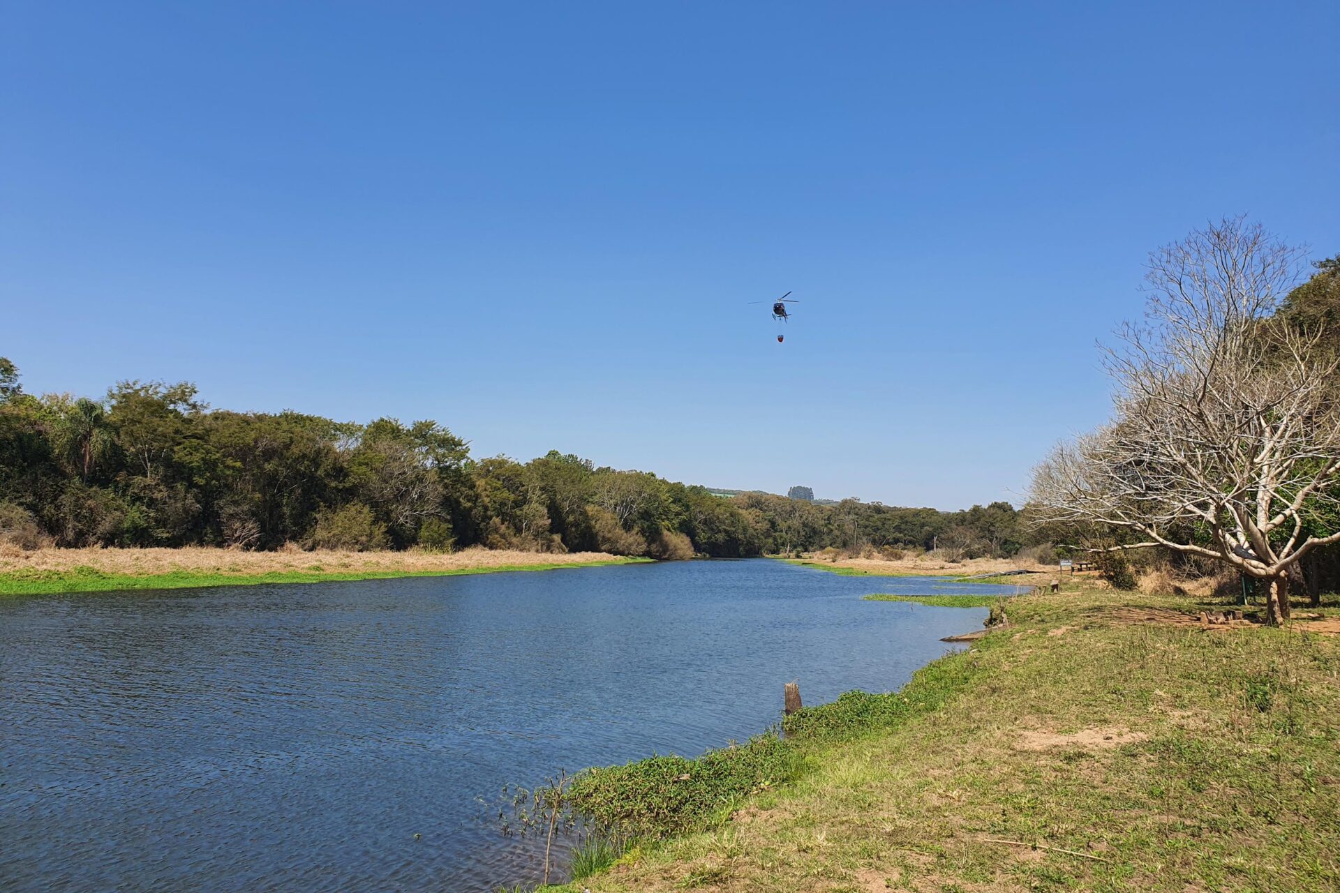 IAT promove restauração ambiental do Parque do Cerrado por meio da queima controlada