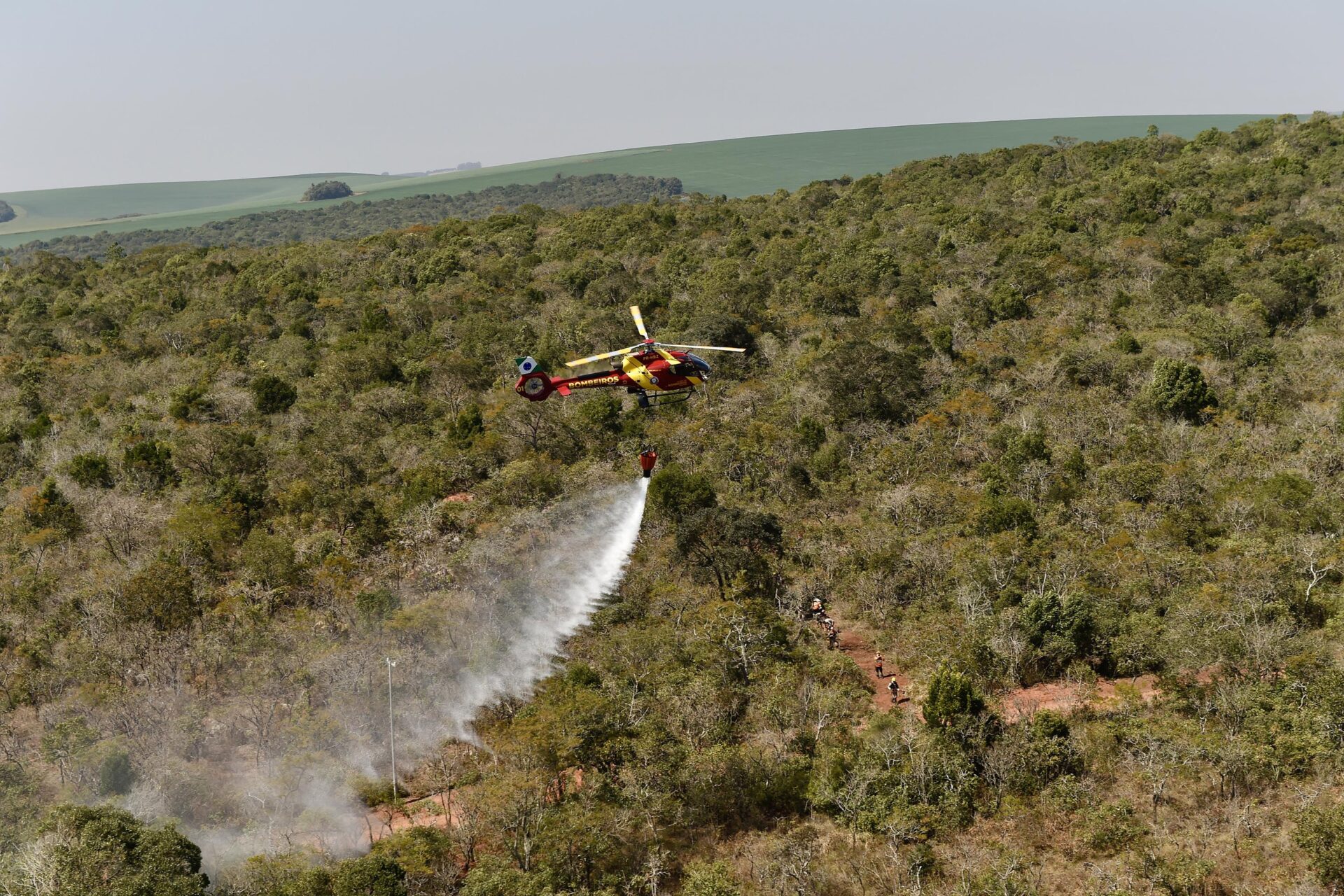 IAT promove restauração ambiental do Parque do Cerrado por meio da queima controlada