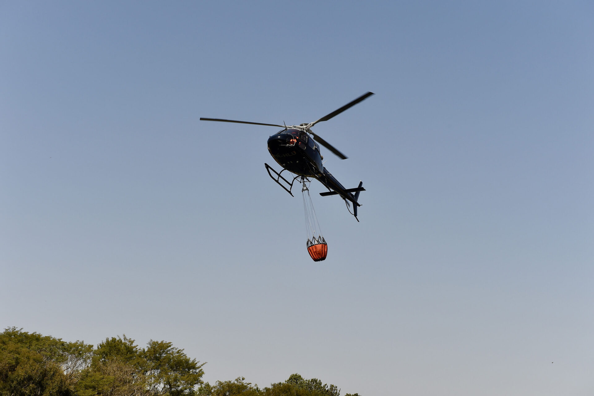 IAT promove restauração ambiental do Parque do Cerrado por meio da queima controlada
