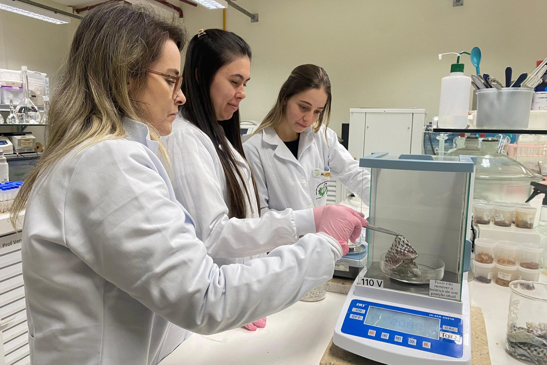 Unioeste desenvolve projeto para transformar resíduos de tilápia em colágeno