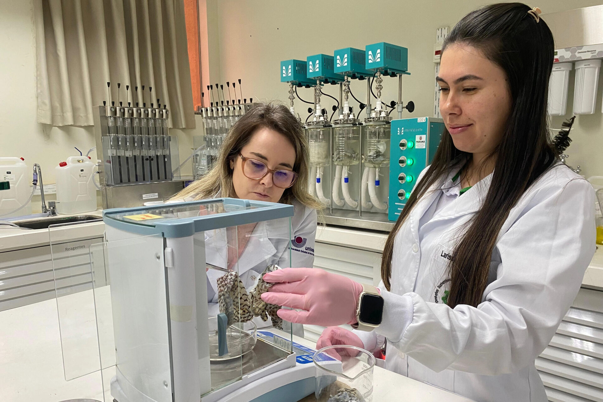 Unioeste desenvolve projeto para transformar resíduos de tilápia em colágeno