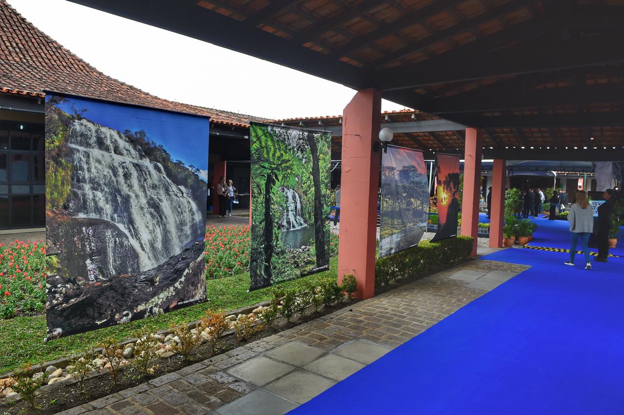 Com Conferência da Mata Atlântica, Paraná reforça protagonismo ambiental