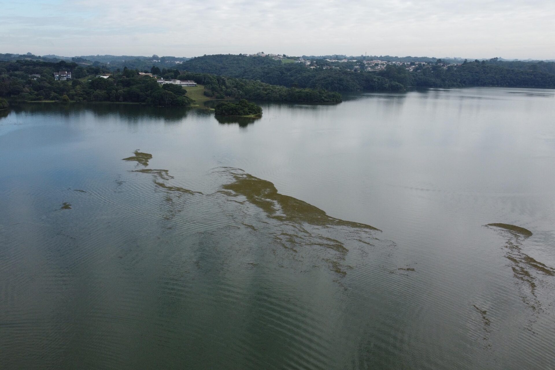 ICMS Ecológico: Estado repassa R$ 316 milhões a cidades com áreas protegidas no 1º semestre