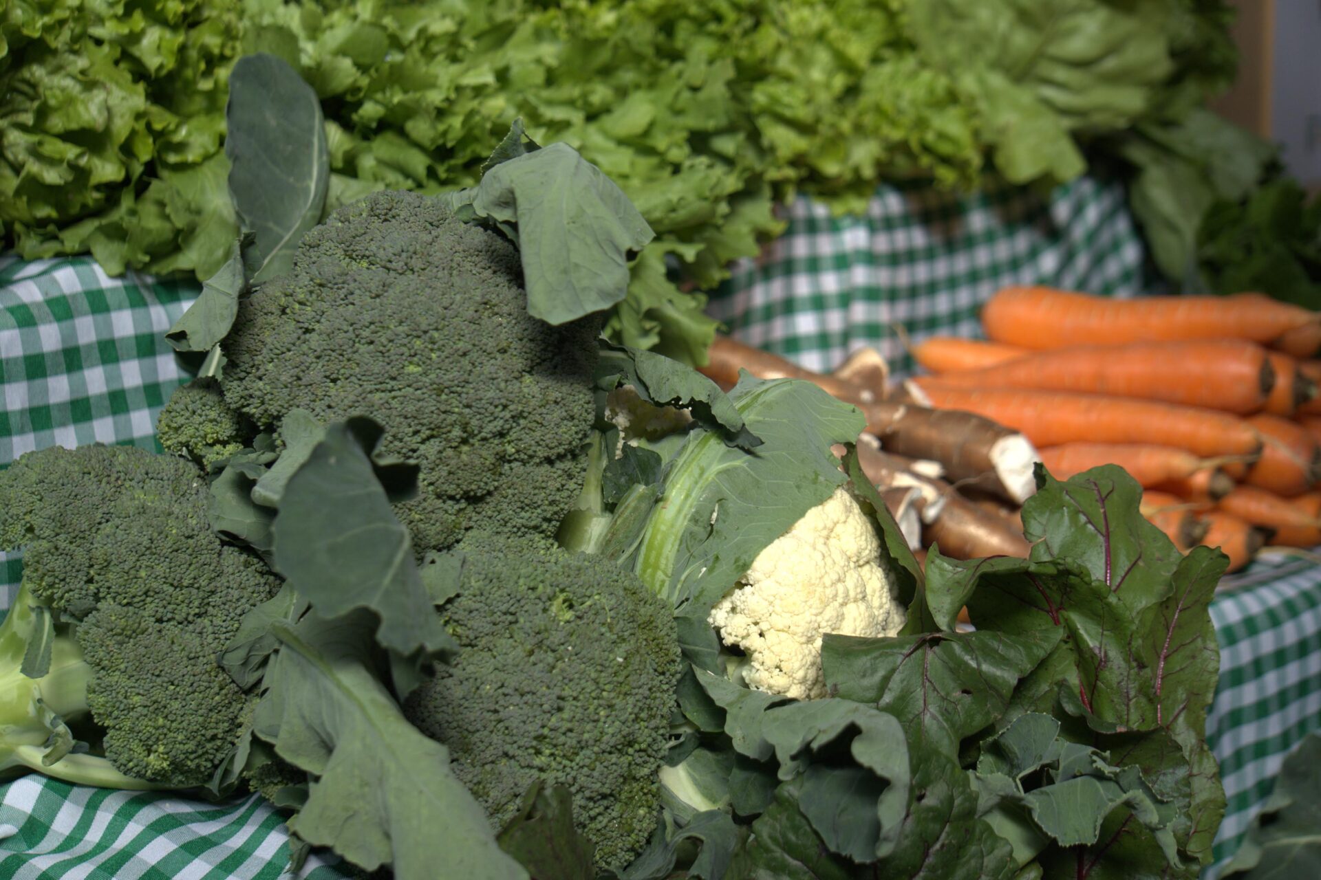 Tradição e identidade própria: Feira Sabores do Paraná valoriza produtos com Indicação Geográfica
