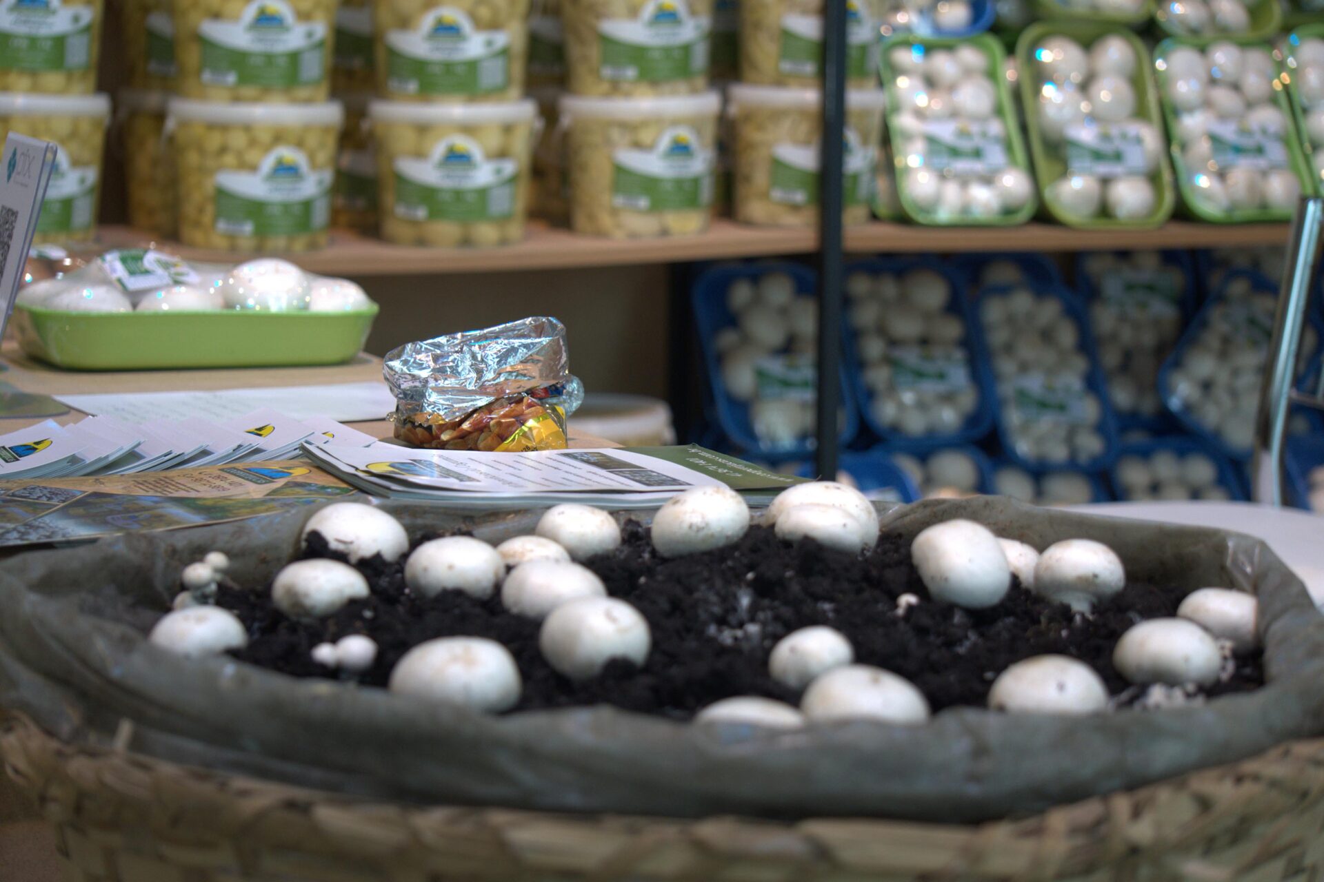 Tradição e identidade própria: Feira Sabores do Paraná valoriza produtos com Indicação Geográfica
