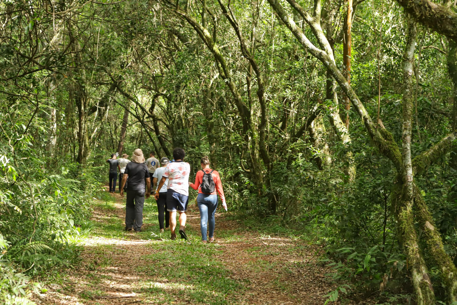 Caminhos do Peabiru: Lapa e Curitiba recebem oficinas para mapear rota turística milenar