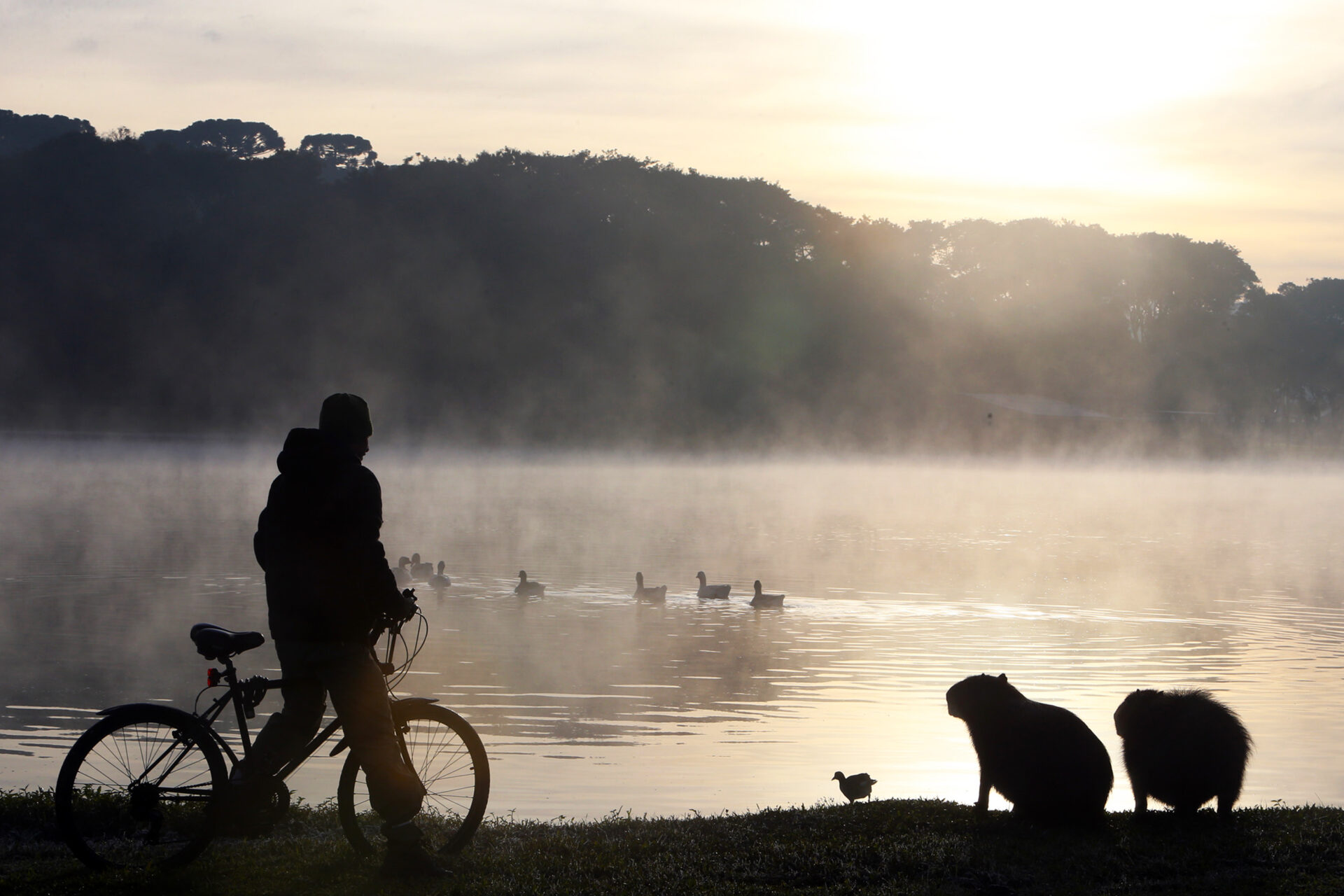 Com nova massa de ar polar, temperaturas negativas voltam ao Paraná no fim de semana