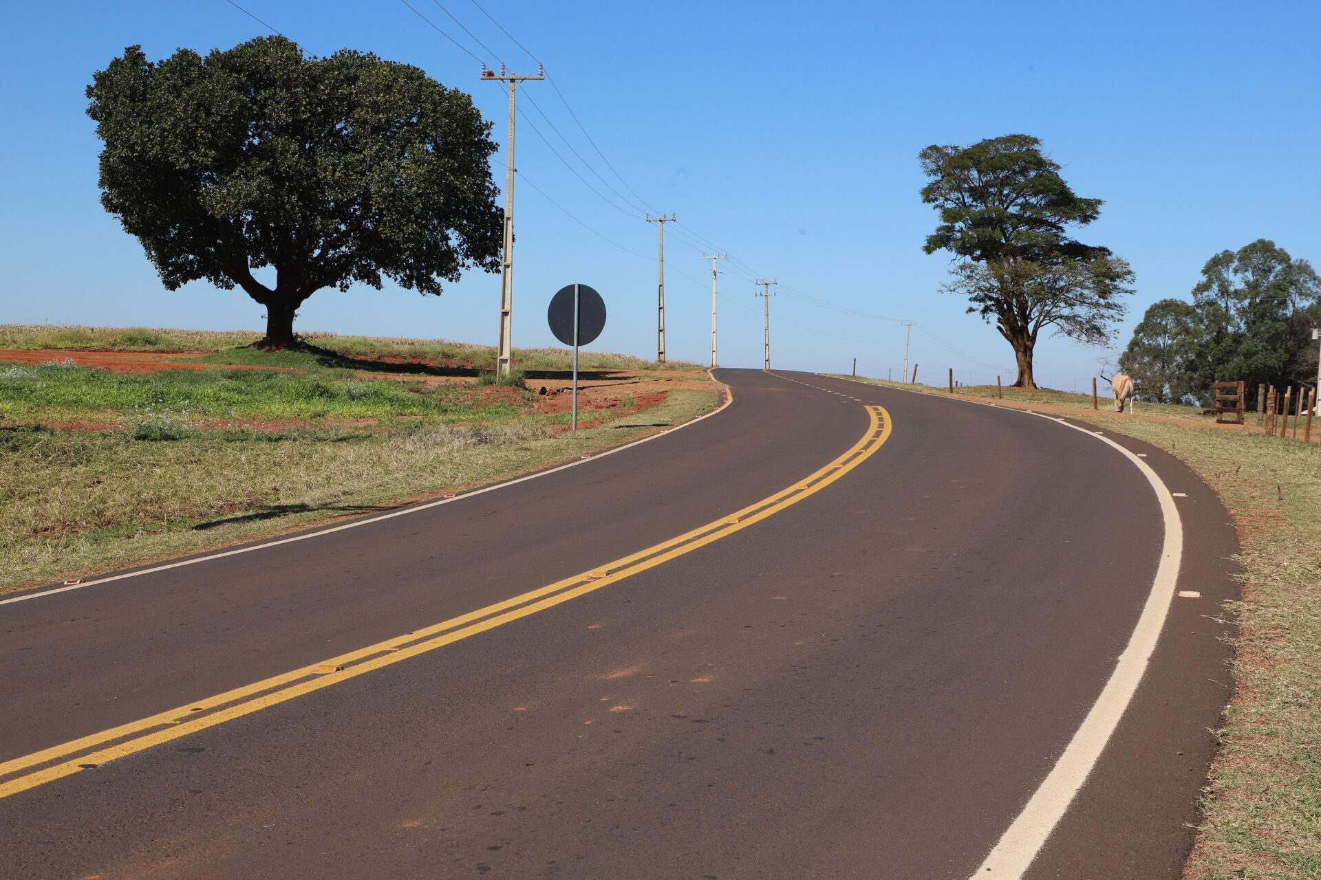 Estado investe R$ 5,9 milhões e pavimenta estrada usada por produtores rurais de Alto Piquiri
