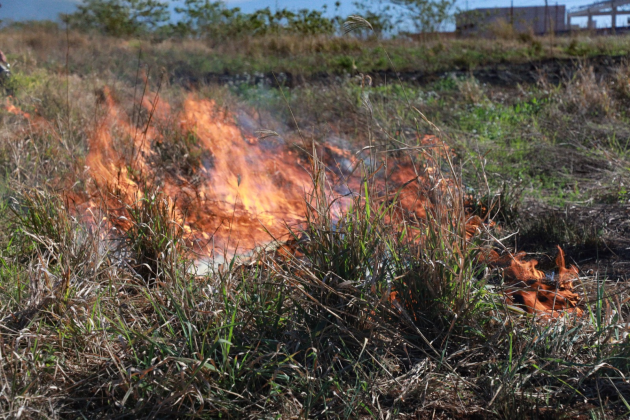 TREINAMENTO | Simulação prepara equipes para combate a incêndios em vegetação em Cascavel