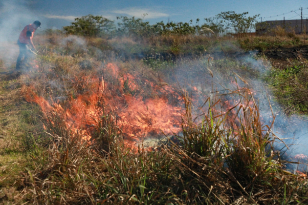 TREINAMENTO | Simulação prepara equipes para combate a incêndios em vegetação em Cascavel