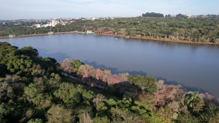 TERRITÓRIO VERDE: Audiência pública apresentará novo projeto para a comunidade