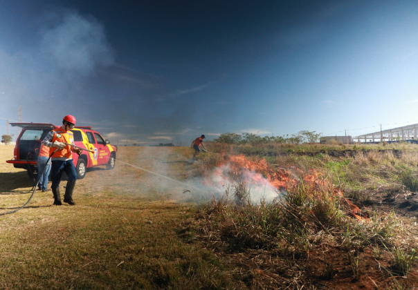 TREINAMENTO | Simulação prepara equipes para combate a incêndios em vegetação em Cascavel