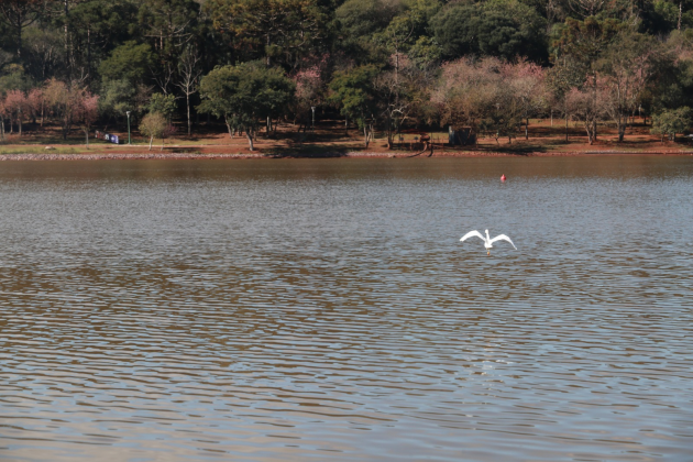 TERRITÓRIO VERDE: Audiência pública apresentará novo projeto para a comunidade