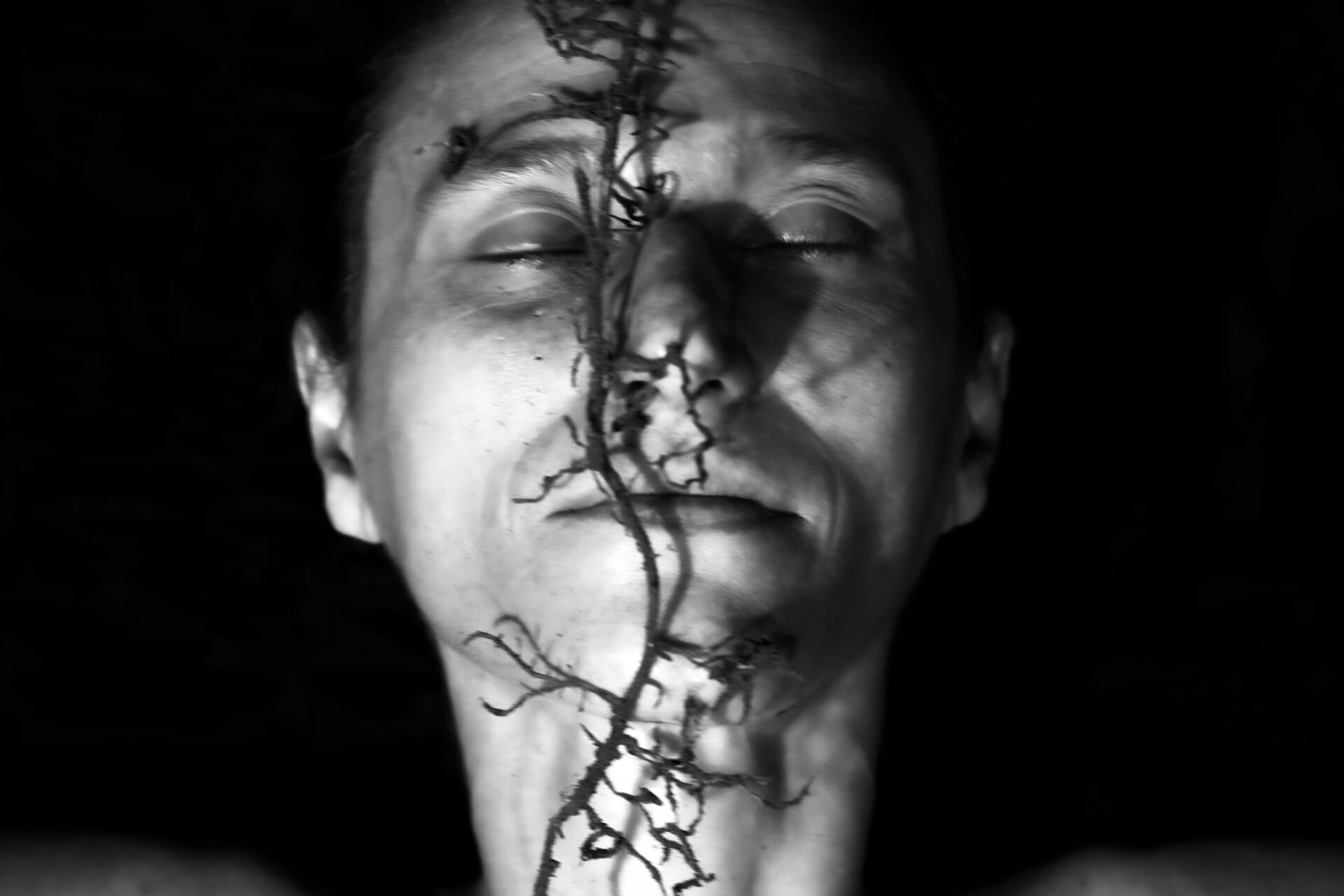 Última semana: mostra Ciclo(s) traz atividades artísticas gratuitas no MIS-PR