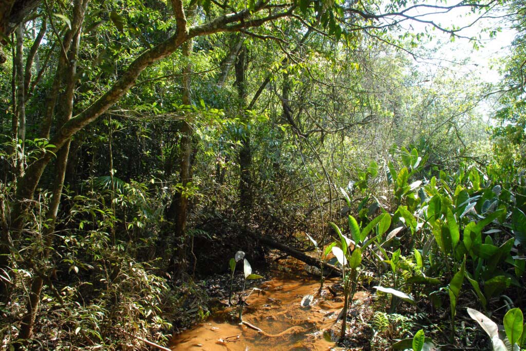 Turismo de Base Comunitária é opção para conhecer tradições e culturas no Oeste do Paraná