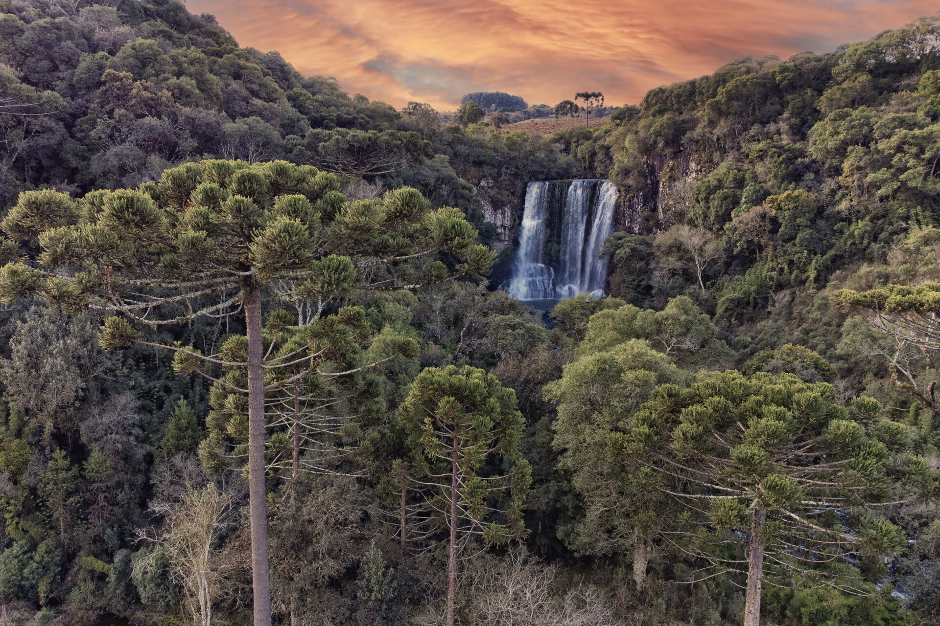 Conferência da Mata Atlântica vai aprofundar discussões sobre clima e economia verde