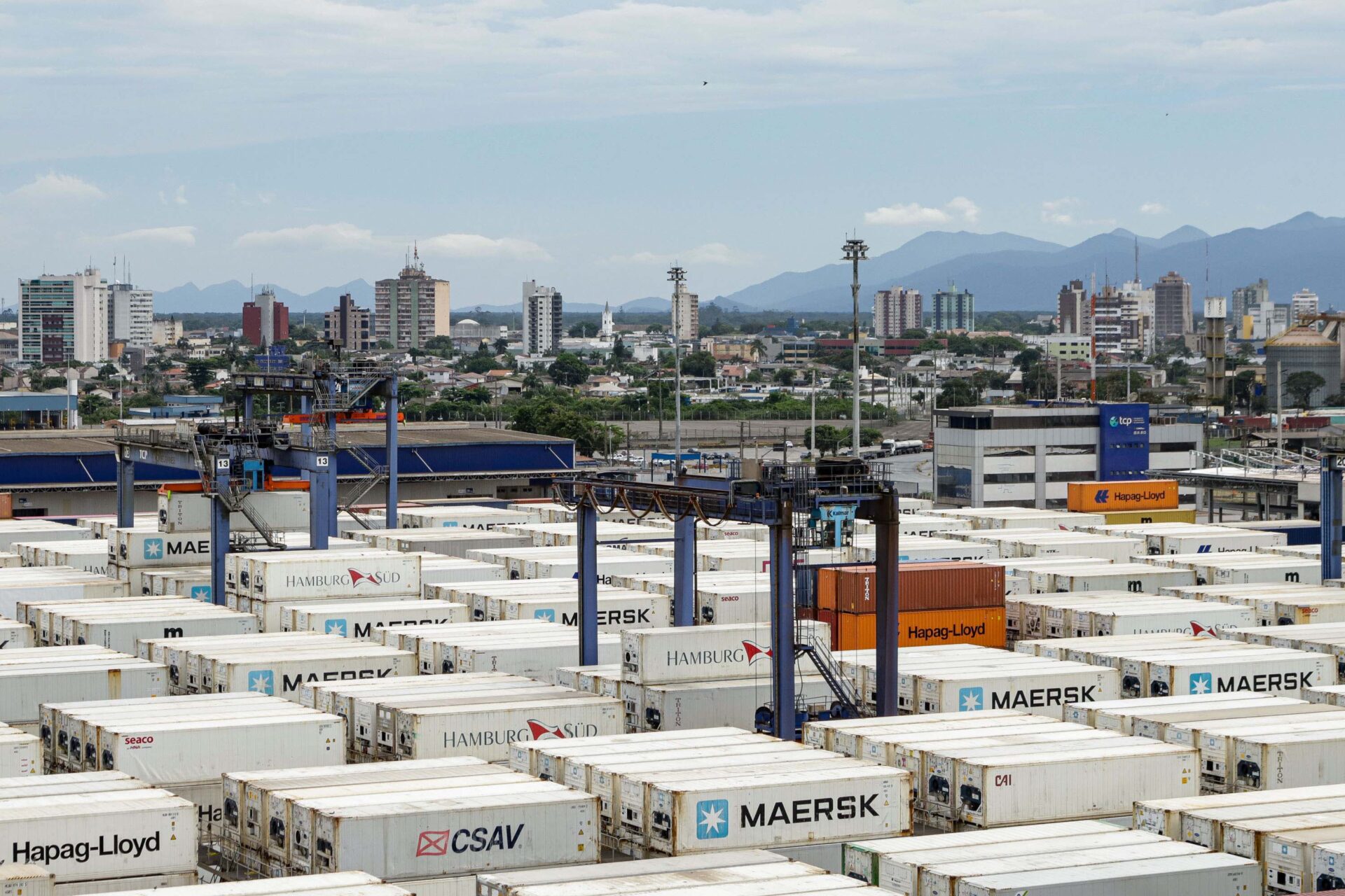 Paraná vendeu 6 mil toneladas de carne de peru para o mercado internacional no 1º semestre