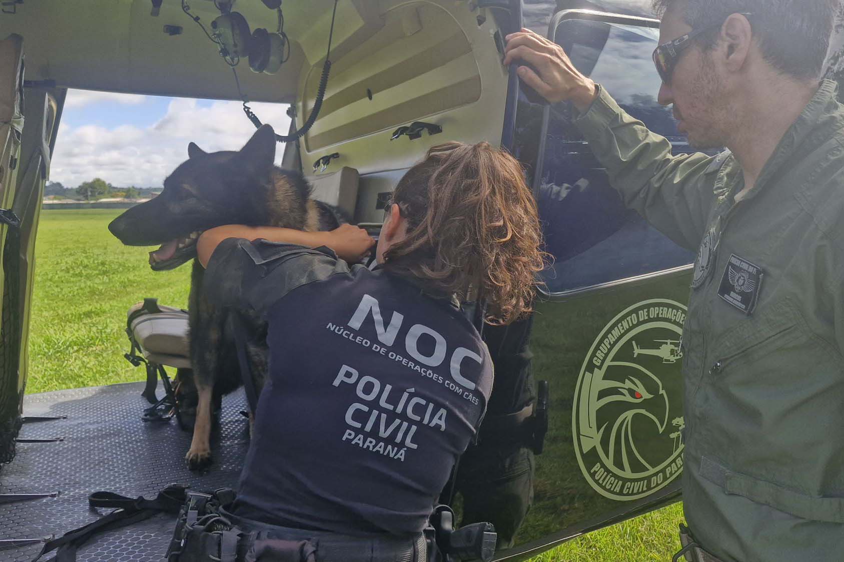 Cães da PCPR ajudaram a tirar 5,7 toneladas de drogas de circulação em 2025