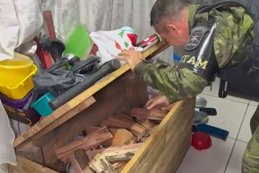 PCPR e PMPR prendem dois homens e apreendem armas em operação contra caça ilegal
