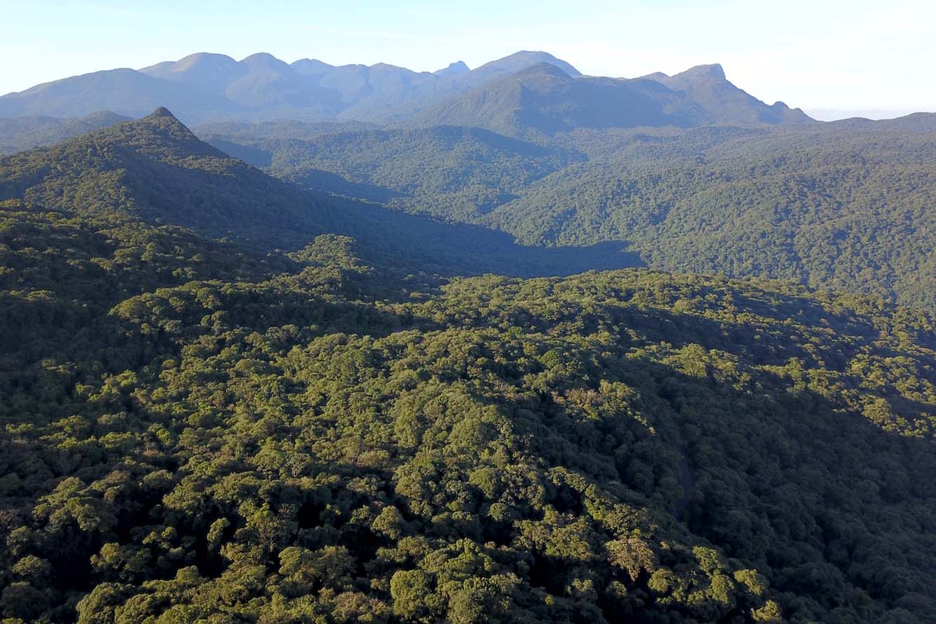 Conferência da Mata Atlântica debaterá enfrentamento às mudanças climáticas