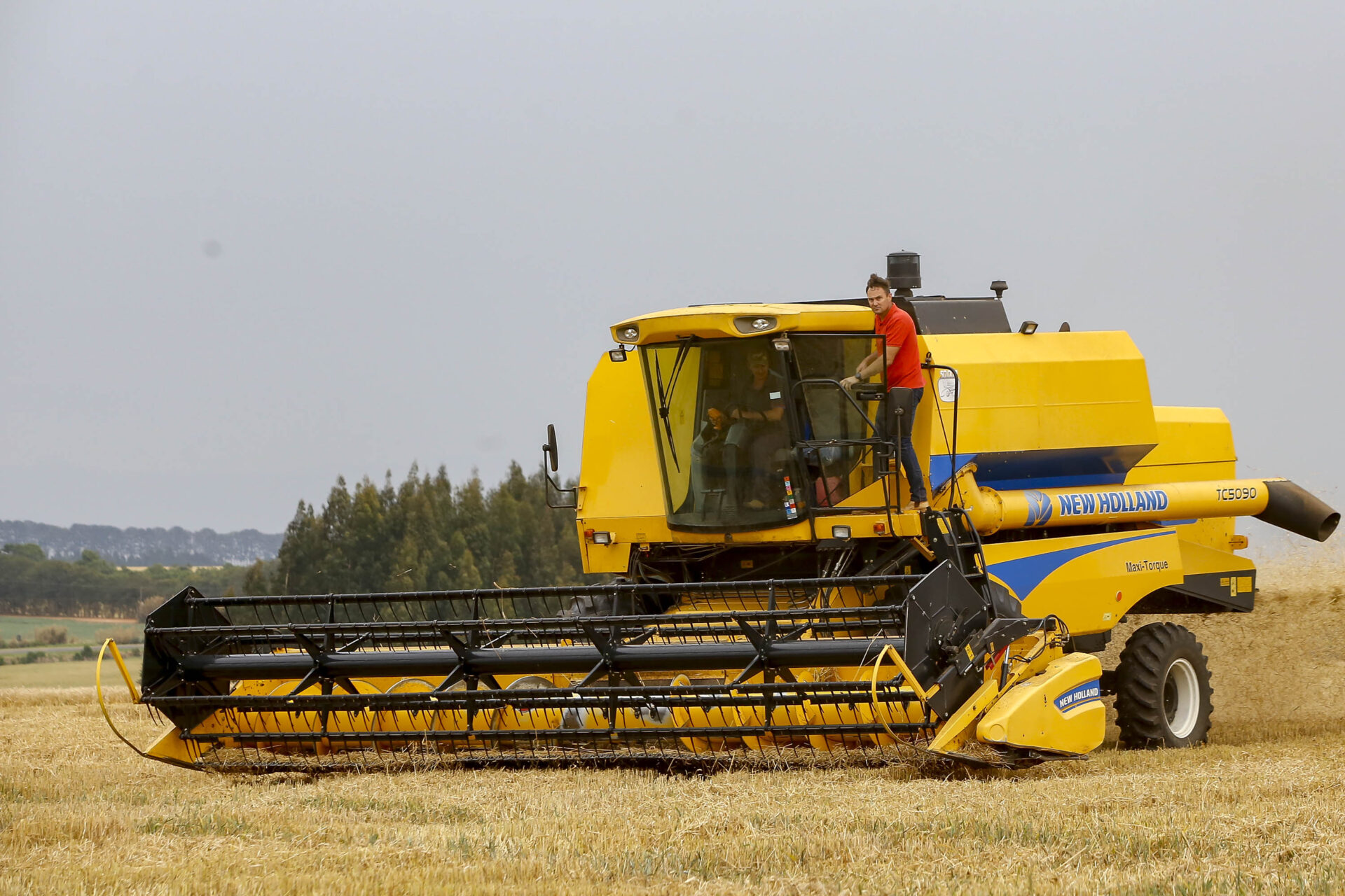 Salários da agropecuária do Paraná crescem no 2º trimestre e superam em 58% a média nacional