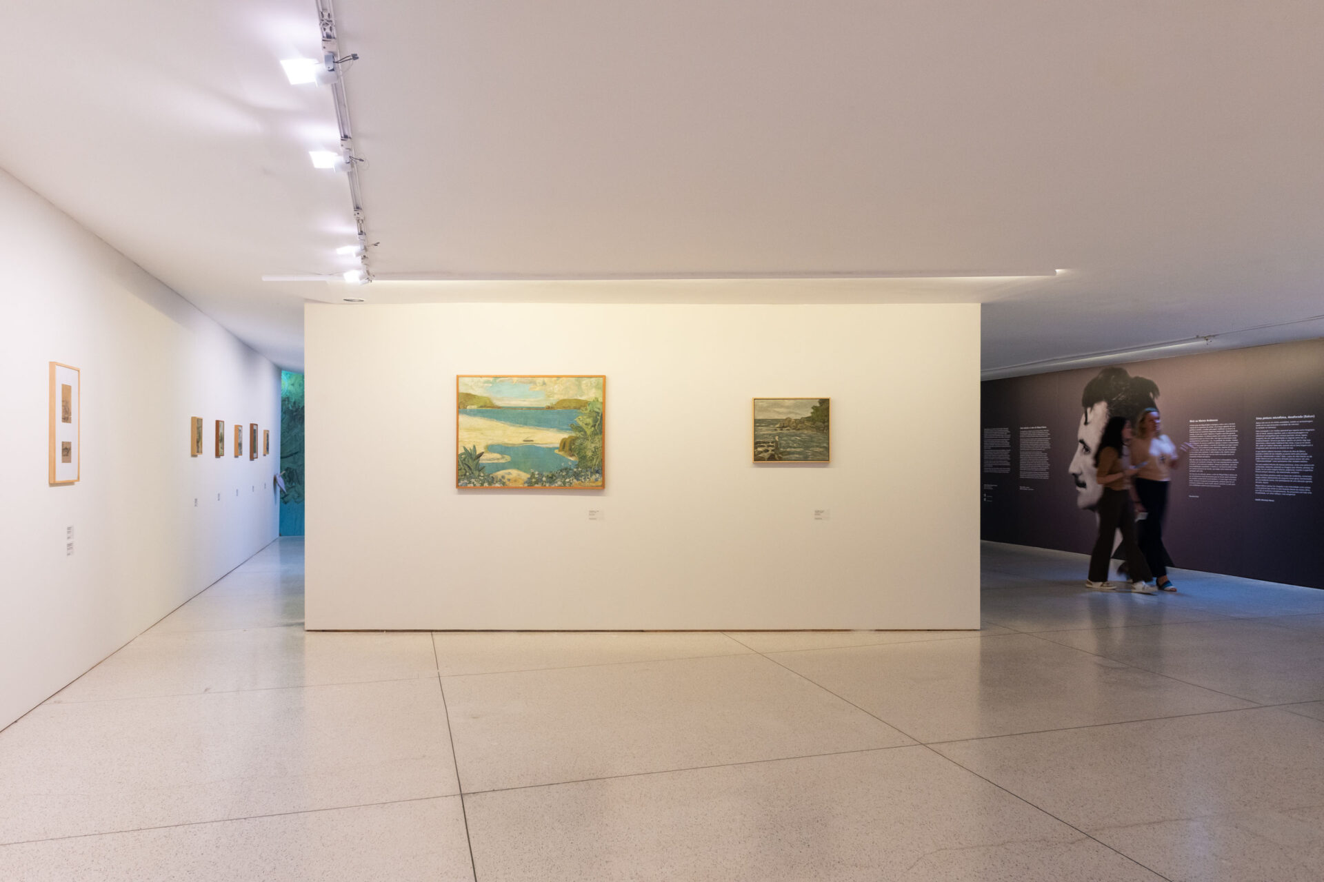 Exposição “Miguel Bakun: O Olhar de uma Coleção” pode ser vista até domingo no MON