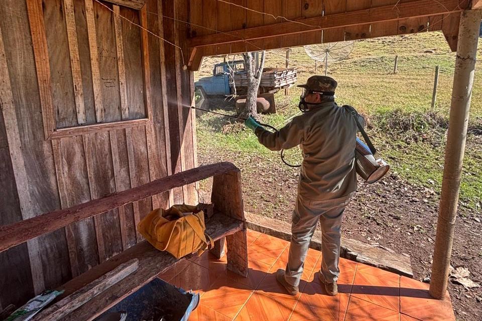 Vigilância e integração entre Estado e municípios fortalecem combate à doença de Chagas